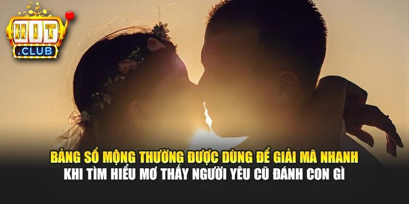 Bảng sổ mộng thường được dùng để giải mã nhanh khi tìm hiểu mơ thấy người yêu cũ đánh con gì