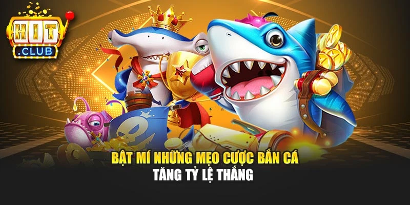 Bật mí những mẹo cược bắn cá tăng tỷ lệ thắng 