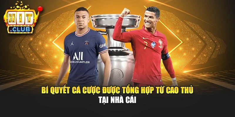 Bí quyết cá cược được tổng hợp từ cao thủ tại nhà cái