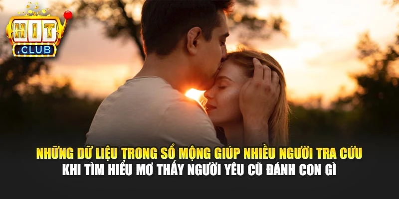 Những dữ liệu trong sổ mộng giúp nhiều người tra cứu khi tìm hiểu mơ thấy người yêu cũ đánh con gì